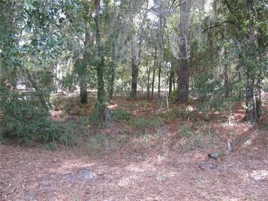 0 Malauka Loop unit G5027919, Ocklawaha, FL 32179 - photo 2