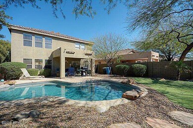 backyard_700.jpg