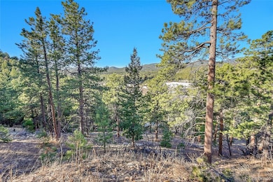 27292 Ridge Trail, Conifer, CO 80433 - photo 6