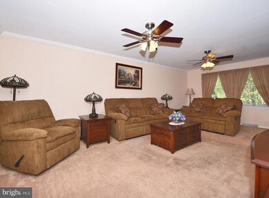 7702 S Cove Rd, Sparrows Point, MD 21219 - photo 5