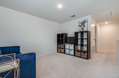 519 Wild Olive Way, San Antonio, TX 78219 - photo 5