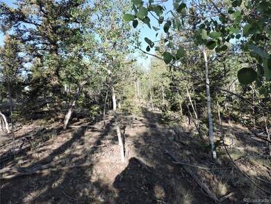 170 Buckskin Ct, Como, CO 80456 - photo 6