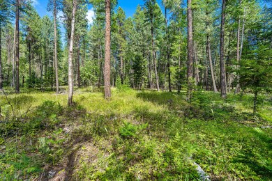 Nhn Kelley Dr, Bigfork, MT 59911 - photo 5