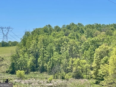 5808 Hensley Rd, Lula, GA 30554 - photo 4