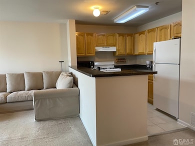 1124 Edpas Rd, New Brunswick, NJ 08901 - photo 7