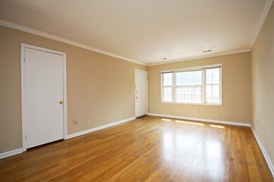 2422 Barracks Place unit 4, Charlottesville, VA 22901 - photo 3