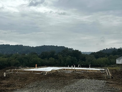 6223 Sycamore Stream Rd, Dandridge, TN 37725 - photo 2