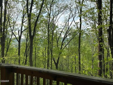 4080 Ole Smoky Way, Sevierville, TN 37862 - photo 4