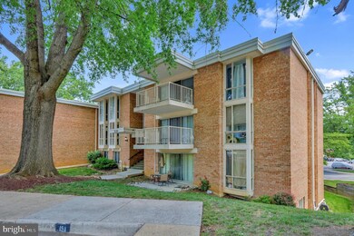 2630 Fort Farnsworth Rd unit 2D, Alexandria, VA 22303 - photo 2