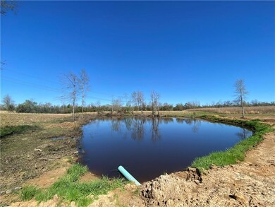 TBD Ruth Holton Rd, Amite, LA 70422 - photo 4