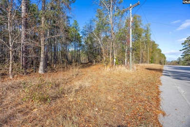 175 Pine Needle Cir, Gaston, SC 29053 - photo 2