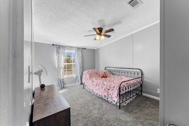 1657 North St, Ray City, GA 31645 - photo 7