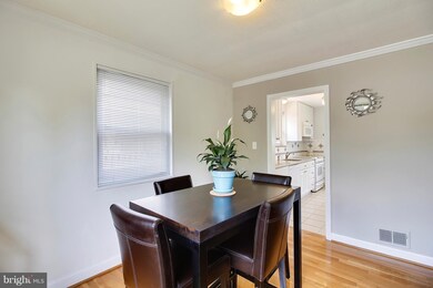 11003 Stillwater Ave, Kensington, MD 20895 - photo 5