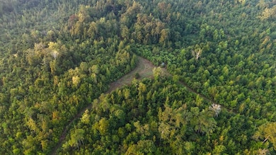 254 Putnam Rd unit LotWP001, Pickens, MS 39146 - photo 6