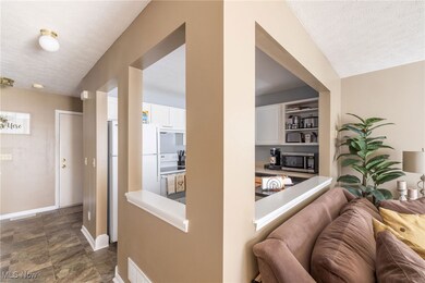 865 Overlook Ridge Dr unit 9F, Cleveland, OH 44109 - photo 6