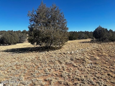 32412 Ancho Rd, Seligman, AZ 86337 - photo 6