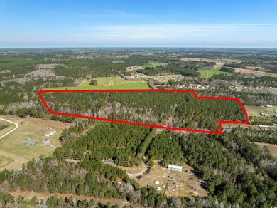 TBD - Lot 4 Daphane Dr unit Lot 4, Loris, SC 29569 - photo 2