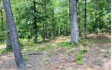 Additional View