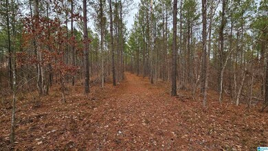 14304 Hargrove Rd E, Cottondale, AL 35453 - photo 2