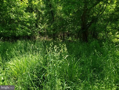 14 River Haven Dr, Harpers Ferry, WV 25425 - photo 7