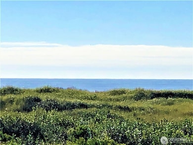 72 Dunes Ln, Ocean Shores, WA 98569 - photo 6