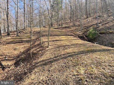 LOT 2 Boulder Dr, Mathias, WV 26812 - photo 5
