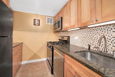 Kitchen featuring stainless steel appliances, decorative backsplash, dark stone counters, and light tile patterned flooring