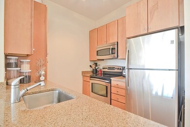 4 Repton Cir unit 4409, Watertown, MA 02472 - photo 4