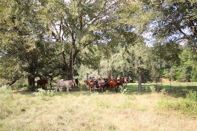 View of yard featuring a rural view and a view of trees