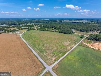 TRACT 5 Clay Brown Rd, Hartwell, GA 30643 - photo 5