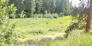 lush sub irrigated pasture