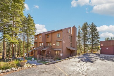 875 4 O Clock Rd unit D1, Breckenridge, CO 80424 - photo 4