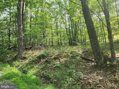 Off Thomas Rd, Alum Bank, PA 15521 - photo 6