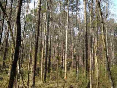 000 Highway 183, Walhalla, SC 29691 - photo 5