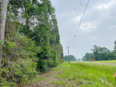 View of mother earth's splendor