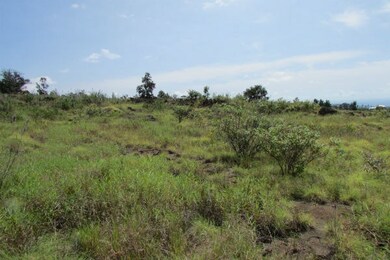 Looking from the middle of the property, South.