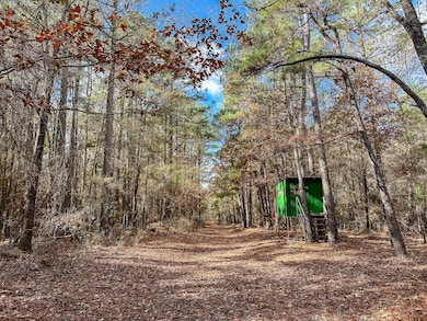 County Road 2235, Bagwell, TX 75412 - photo 3