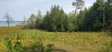 1979 S Point Brulee, Hessel, MI 49745 - photo 3