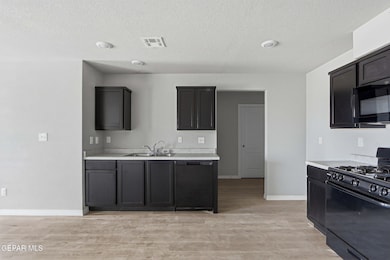 14376 Star Cactus Ave, Horizon City, TX 79928 - photo 6