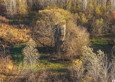 0 Wolf Island Rd, Clinton, KY 42031 - photo 2