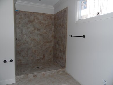 Master Bathroom tiled shower
