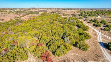 TBD-1 Thompson Rd, Weatherford, TX 76087 - photo 5