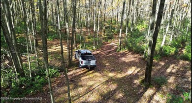 0 Robinson and Fox Rd, South Canaan, PA 18459 - photo 7