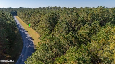 151 Garbacon Dr, Beaufort, NC 28516 - photo 3