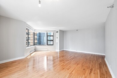 401 E Ontario St unit 810, Chicago, IL 60611 - photo 6