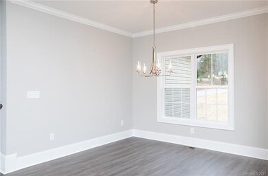 2066 Roadrunner Rd unit 19, Clover, SC 29710 - photo 5