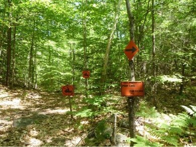 00 Ferry Rd, Moultonborough, NH 03254 - photo 6