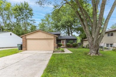 3565 Malabar Street-1.jpg-SMALL
