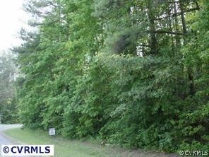 1200 Shannon Mill Dr, Reedy Church, VA 22546 - photo 4