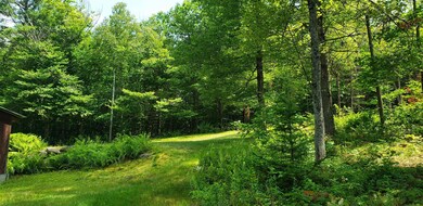 367 Glass Hill Rd, Grafton, NH 03240 - photo 2